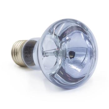 Terra ExoticaNeo Spot - 60 Watt Terrarien-Reflektorstrahler